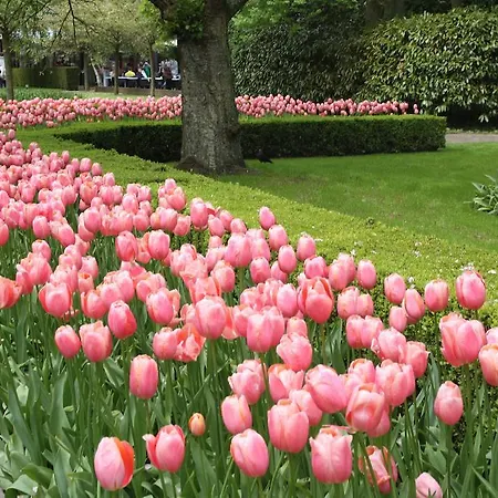Floriande Hoofddorp